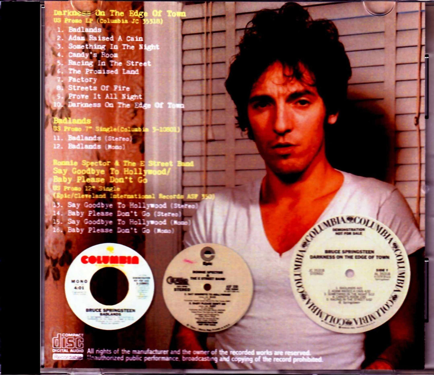 Bruce Springsteen/US Promotional 12 inch Single