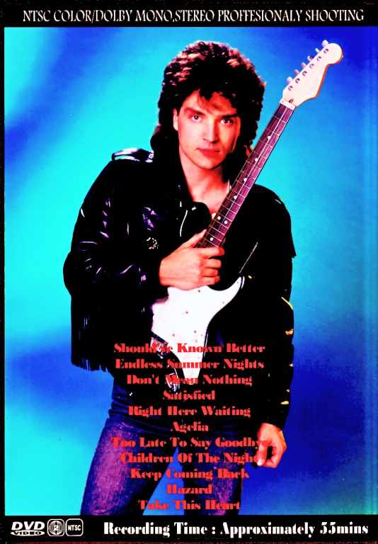 Richard Marx/Best of Video Collection