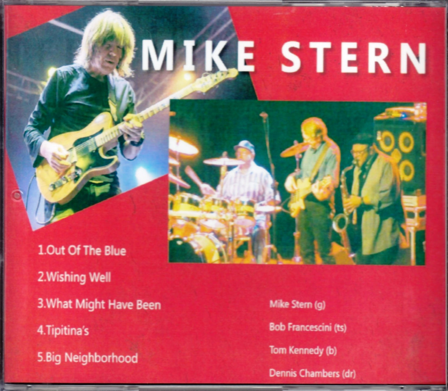 Mike Stern/Germany 2015