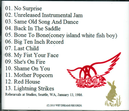 Aerosmith/WA, USA 1986