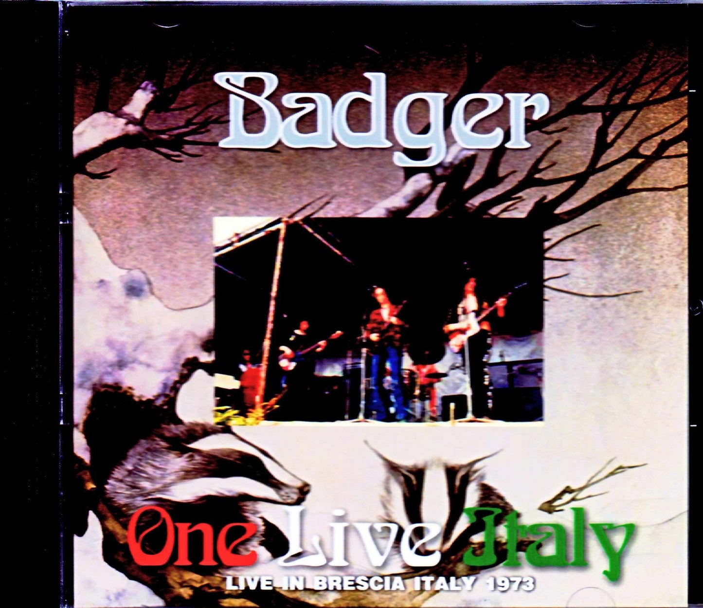 Badger/Italy 1973