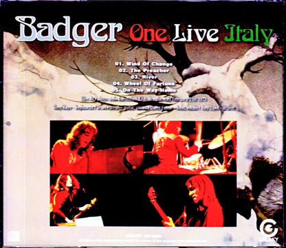 Badger/Italy 1973
