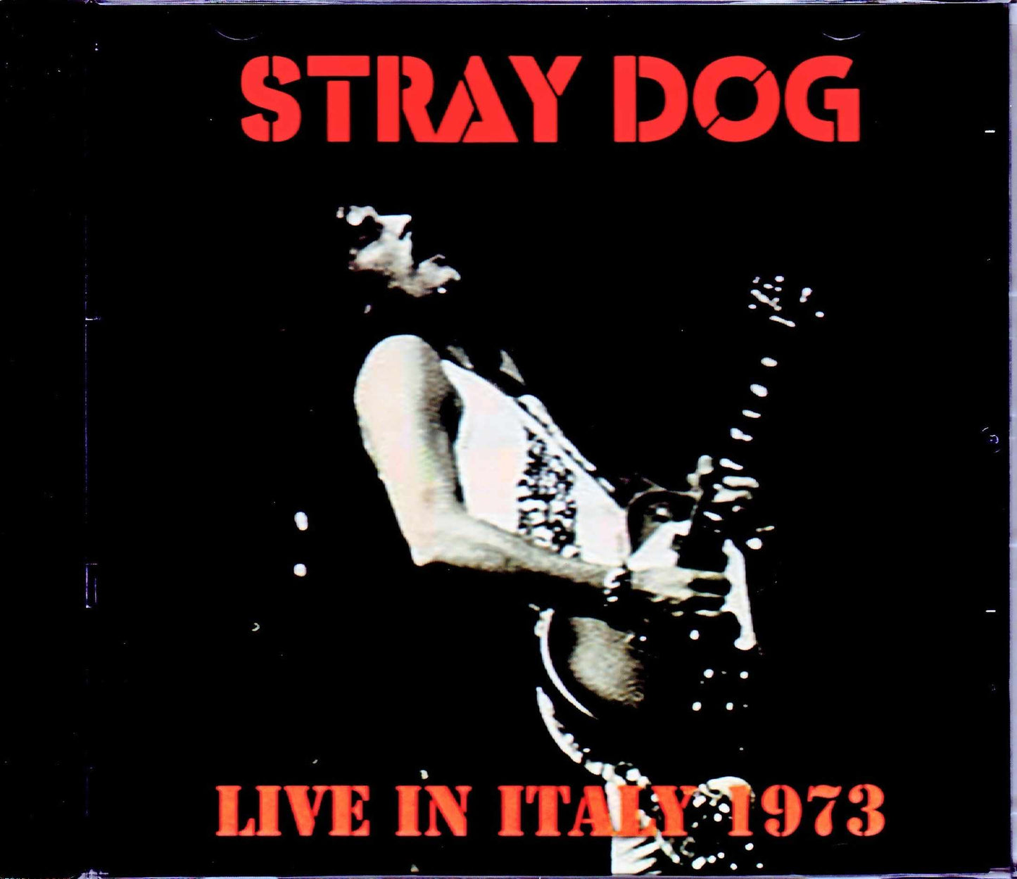 Stray Dog/Italy 1973
