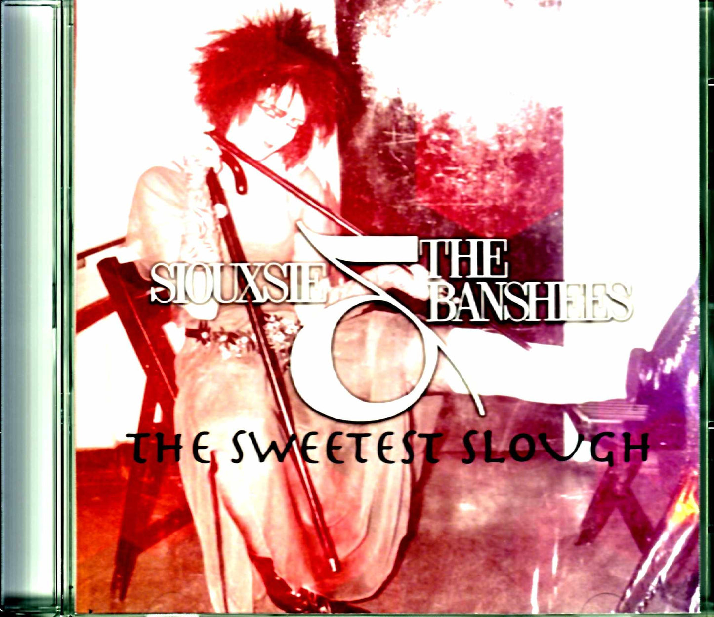 Siouxsie & the Banhees/England,UK 1985
