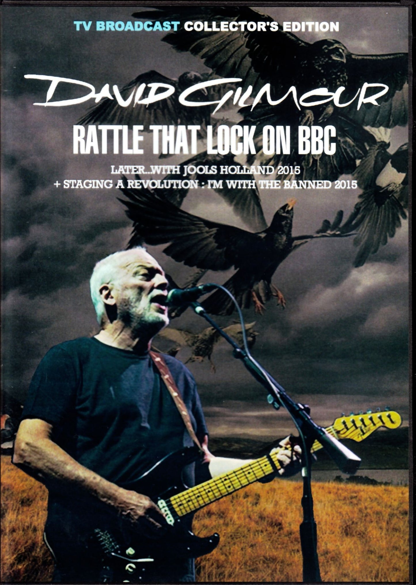 David Gilmour/Holland 2015 & more