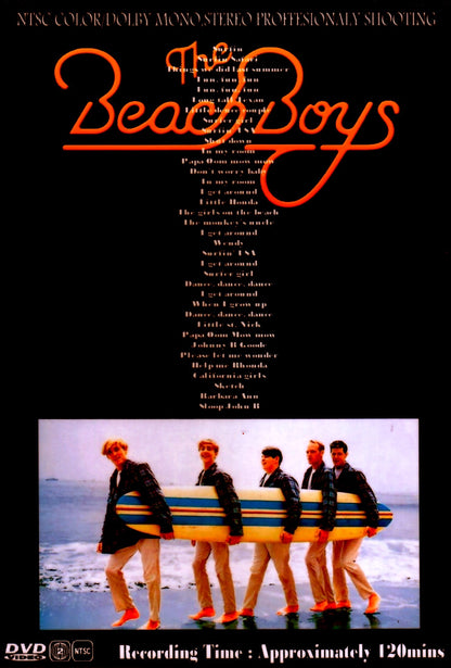 Beach Boys/Long Promised Road 1962-1966