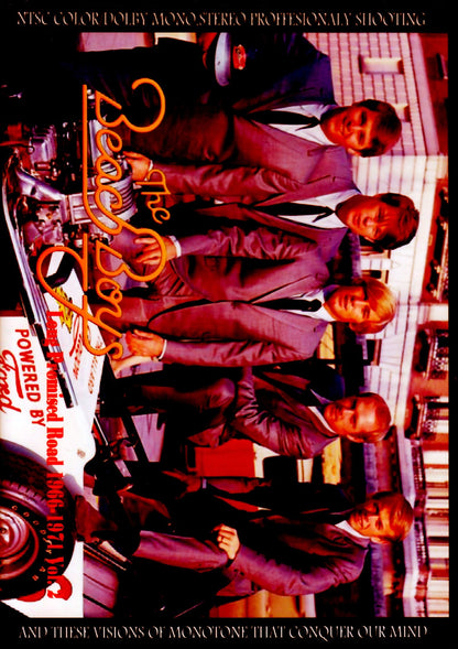 Beach Boys/Long Promised Road 1966-1971