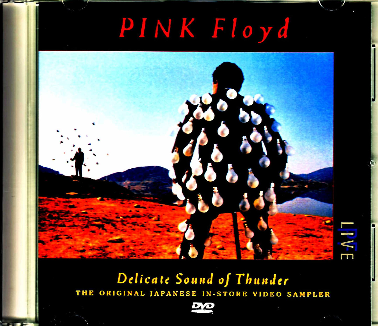 Pink Floyd/Delicate Sound of Thunder Original Japanese in Store Video Sampler Tape
