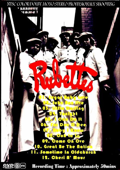 Rubettes/Video Anthology 1970's