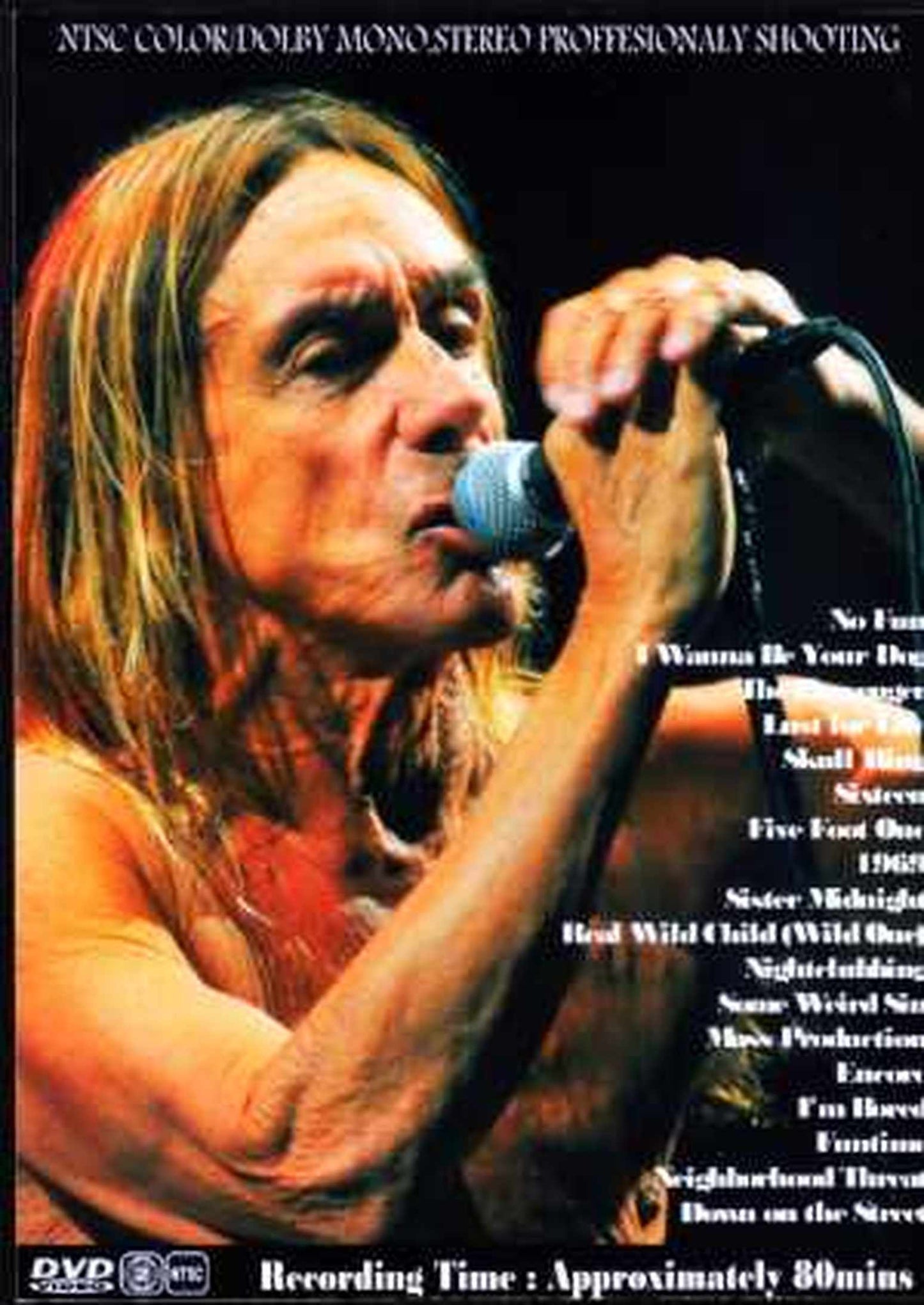 Iggy Pop/France 2015