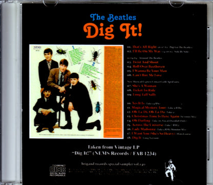 Beatles/Dig It LP Direct