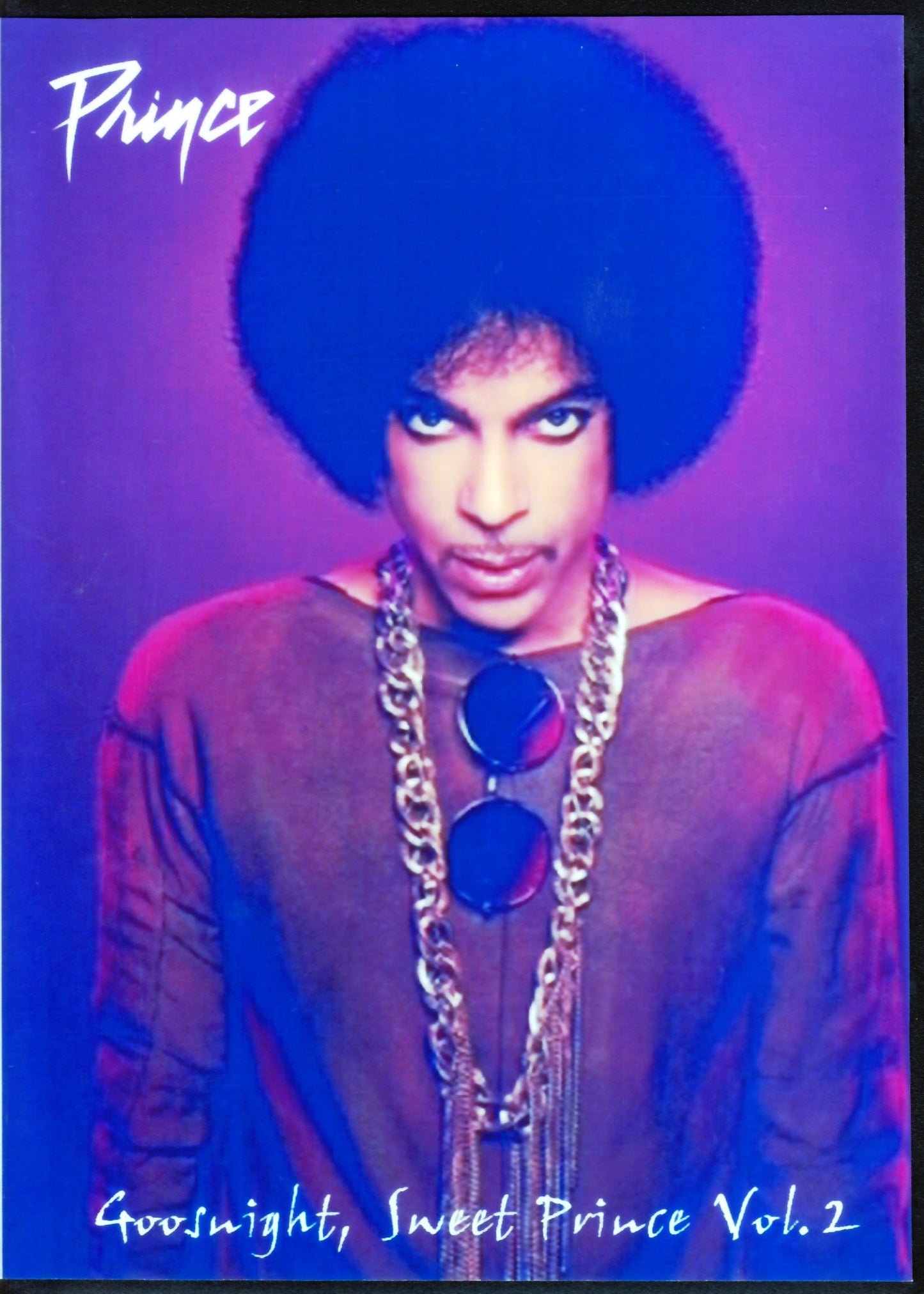 Prince/US TV Program Compilation Vol.2